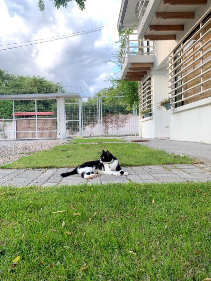 Casa Buda 2 Liberia Cerca Del Aeropuerto Ngoại thất bức ảnh